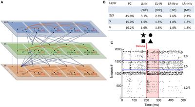 Comparison Between Human and Rodent Neurons for Persistent Activity Performance: A Biologically Plausible Computational Investigation